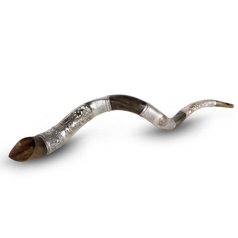 Silver-Plated Yemenite Kudu Shofar - Lion of Judah (Choice of Sizes)