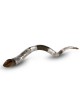 Silver-Plated Yemenite Kudu Shofar - Lion of Judah (Choice of Sizes)