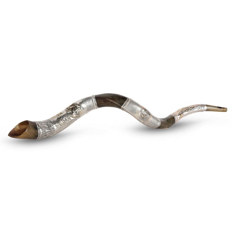 Silver-Plated Yemenite Kudu Shofar - Lion of Judah (Choice of Sizes)
