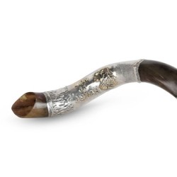 Silver-Plated Yemenite Kudu Shofar - Lion of Judah (Choice of Sizes)