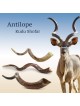 Silver-Plated Yemenite Kudu Shofar - Lion of Judah (Choice of Sizes)