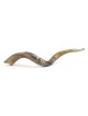 Lion and Eagle Hand Painted Kudu Shofar