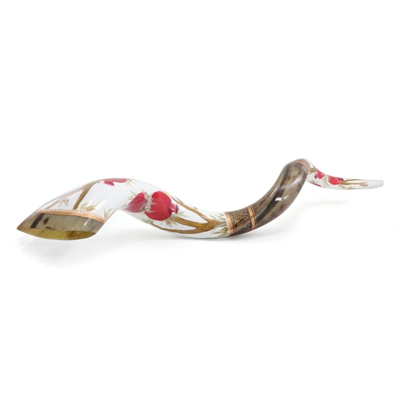Pomegranates Hand Painted Kudu Shofar