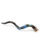 Six Days of Creation Hand Painted Kudu Shofar
