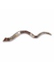 Sterling Silver Plated Yemenite Kudu Shofar - Ark of the Covenant (Cho