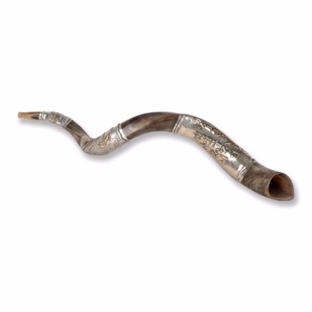 Sterling Silver Plated Yemenite Kudu Shofar - Shema Yisrael (Choice of