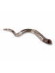 Sterling Silver Plated Yemenite Kudu Shofar - Shema Yisrael (Choice of