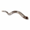 Sterling Silver Plated Yemenite Kudu Shofar - Shema Yisrael (Choice of
