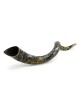Lion of Judah Hand Painted Kudu Shofar