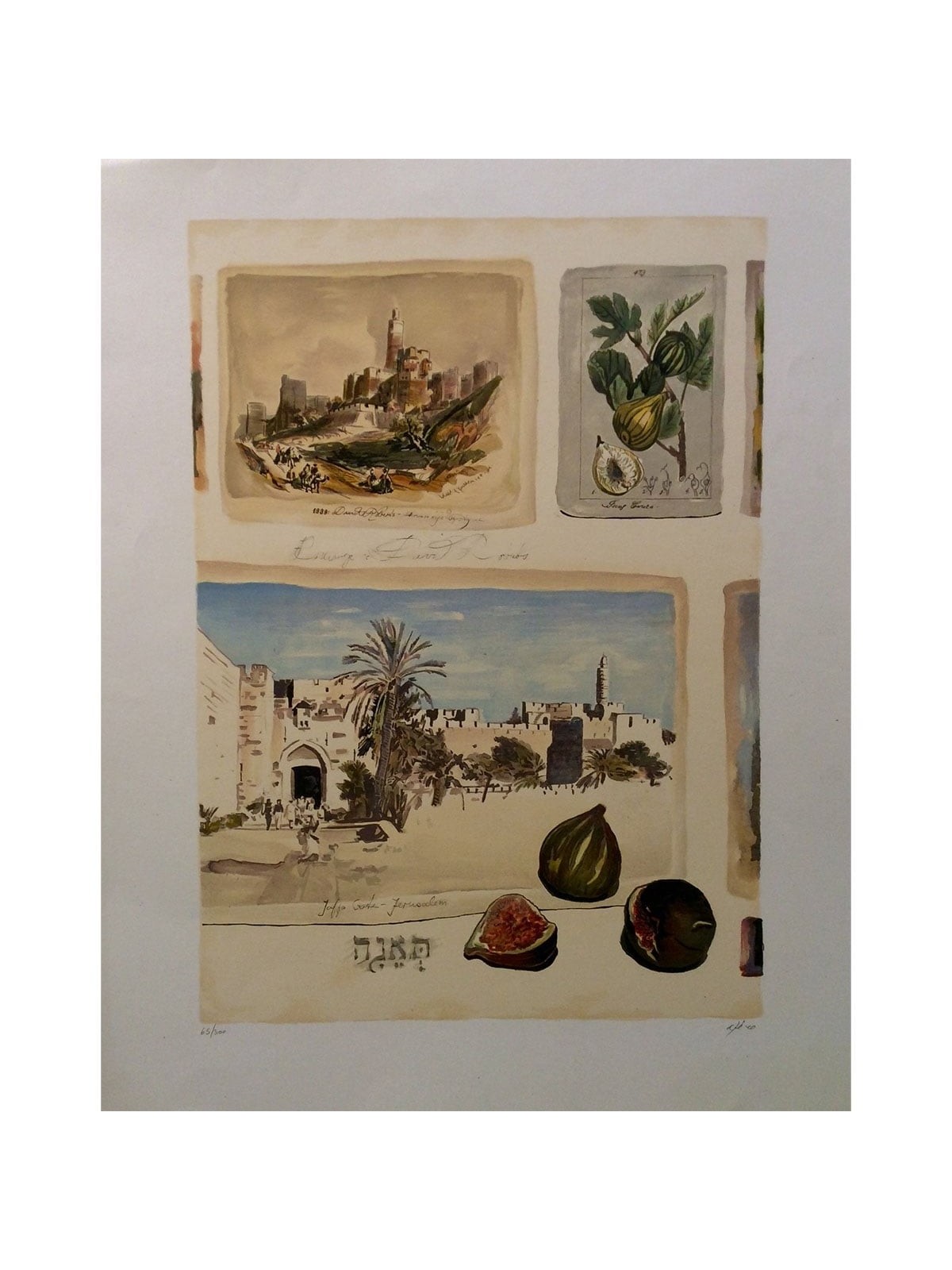 Arie Azene - Figs in Jerusalem (Hand Signed & Numbered Limited Edition