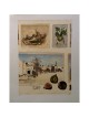 Arie Azene - Figs in Jerusalem (Hand Signed & Numbered Limited Edition