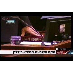 The Koren Presentation Tanakh - Hebrew (Large) - Leather Hardcover