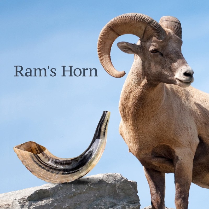 Jerusalem View Silver-Plated Ram's Shofar