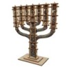 The Knesset Menorah: Do-It-Yourself 3D Puzzle Kit