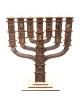 The Knesset Menorah: Do-It-Yourself 3D Puzzle Kit