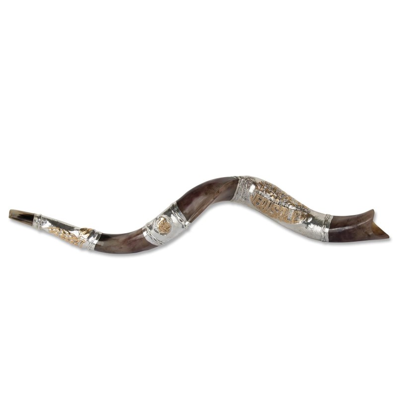 Sterling Silver Plated Yemenite Kudu Shofar - Jerusalem Design (Choice