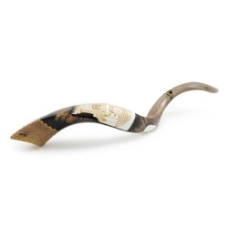 Ten Commandments and Temple Hand Painted Kudu Shofar