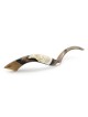 Ten Commandments and Temple Hand Painted Kudu Shofar