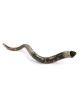 Old City of Jerusalem Hand Painted Kudu Shofar