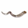 Sterling Silver Plated Yemenite Kudu Shofar - Menorah (Choice of Sizes