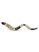 Sterling Silver Plated Yemenite Kudu Shofar - Menorah (Choice of Sizes