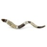 Sterling Silver Plated Yemenite Kudu Shofar - Menorah (Choice of Sizes