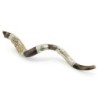 Sterling Silver Plated Yemenite Kudu Shofar - Menorah (Choice of Sizes