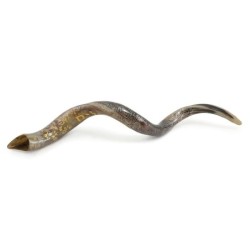 Golden Jerusalem Hand Painted Kudu Shofar
