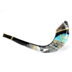 Barsheshet-Ribak Hand-Painted Shofar With Jerusalem Design