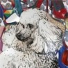 Ivory Poodle: David Gerstein Hand Painted Limited Edition Wall Sculptu