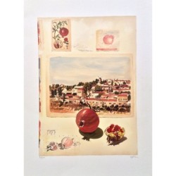 Arie Azene - Pomegranate in Jerusalem (Hand Signed & Numbered Limited