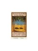 Overland Desert Mail. 1923. Poster