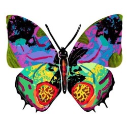David Gerstein Signed Wall Hanging - Butterfly - Hadar