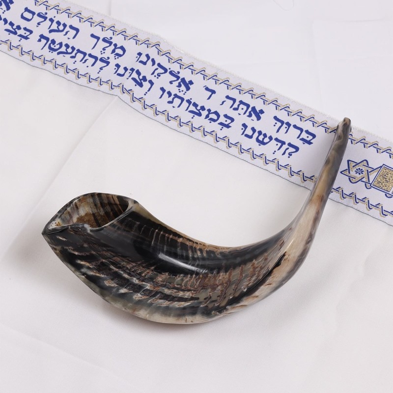 Kosher Classic Natural Ram's Horn Shofar 14'-16' / 34-40 cm