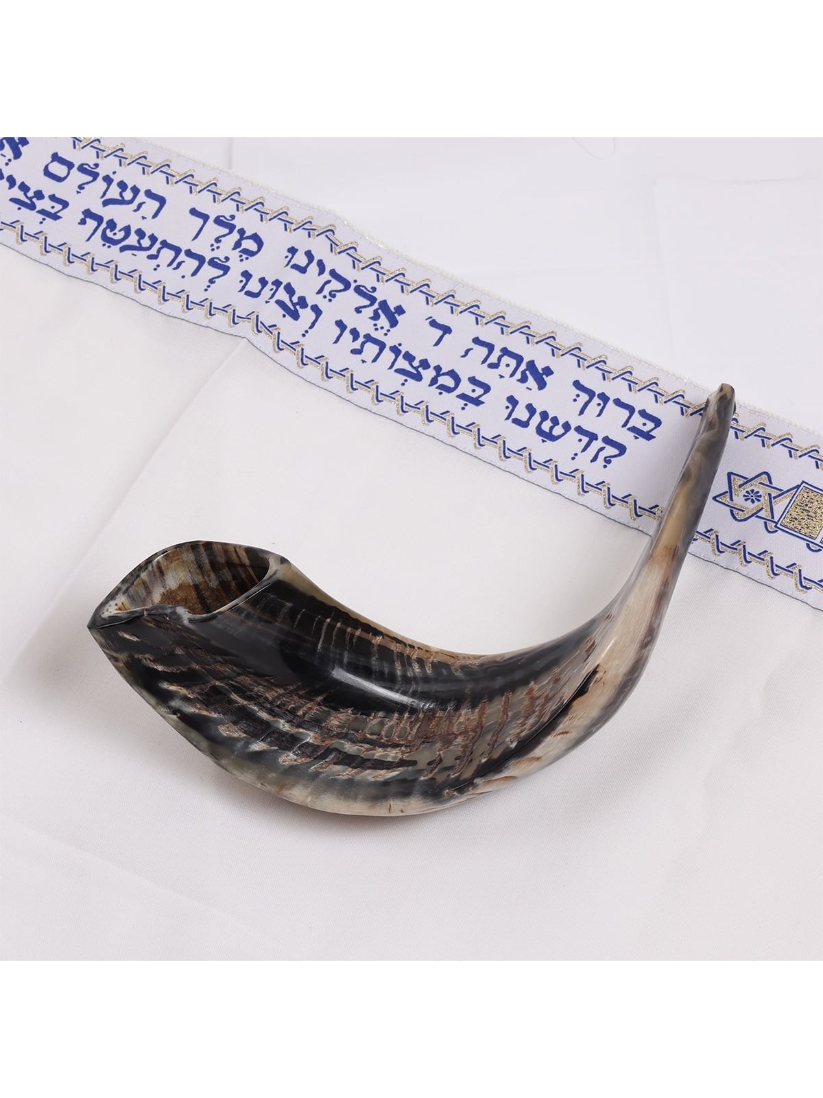 Kosher Classic Natural Ram's Horn Shofar 14'-16' / 34-40 cm
