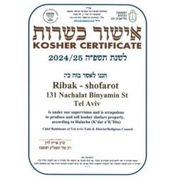 Kosher Classic Natural Ram's Horn Shofar 14'-16' / 34-40 cm