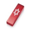 Adi Sidler Star of David Car Mezuzah