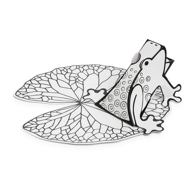 DIY Ten Plagues 'Passover Frogs' Craft Kit