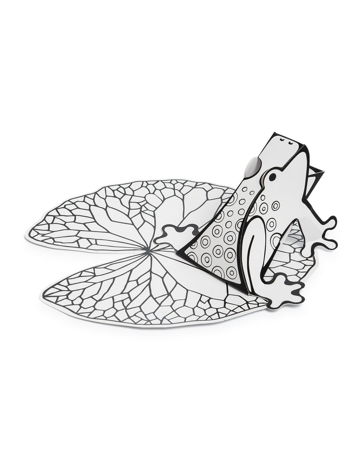 DIY Ten Plagues 'Passover Frogs' Craft Kit