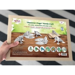 DIY Ten Plagues 'Passover Frogs' Craft Kit
