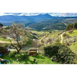 Inspirational Photography of Israel Hebrew Calendar 2025-2026