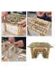 Sukkah: Do-It-Yourself 3D Puzzle Kit