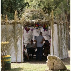 Sukkah: Do-It-Yourself 3D Puzzle Kit