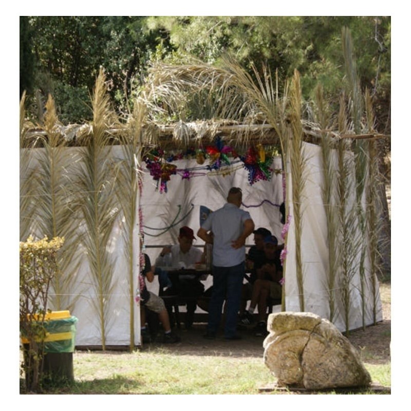 Sukkah: Do-It-Yourself 3D Puzzle Kit