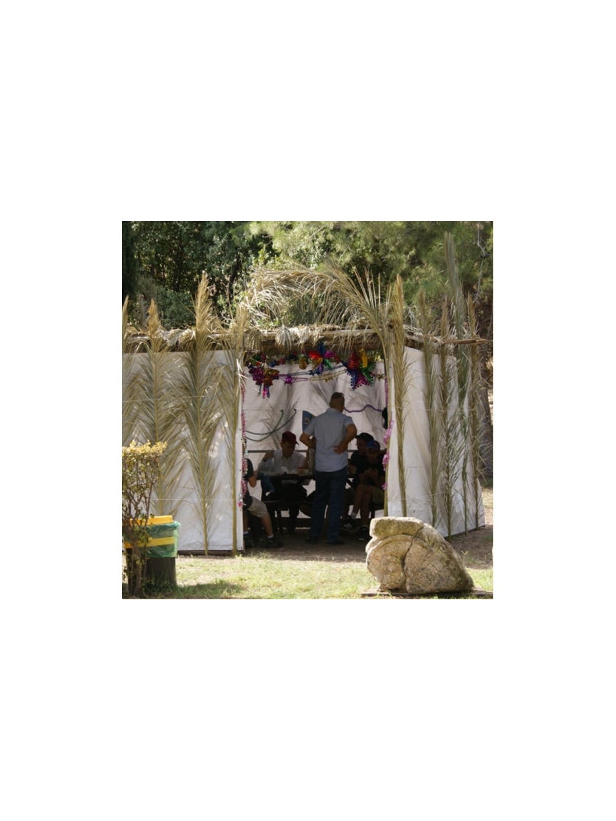 Sukkah: Do-It-Yourself 3D Puzzle Kit