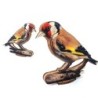Interactive European Goldfinch Bird 3D Wooden Puzzle Kit