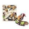 Interactive European Goldfinch Bird 3D Wooden Puzzle Kit