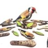 Interactive European Goldfinch Bird 3D Wooden Puzzle Kit