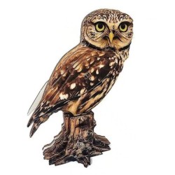 Interactive Little Owl 3D Wooden Puzzle Kit
