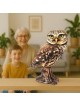 Interactive Little Owl 3D Wooden Puzzle Kit